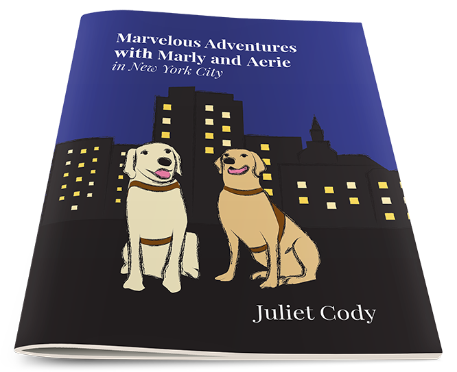 Marvelous Adventures with Marly and Aerie in New York City